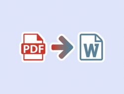 PDF to Word
