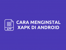 Cara Instal XAPK di Android