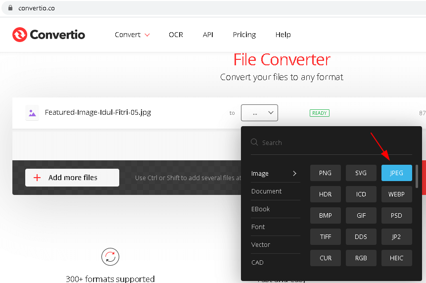 Cara Mengubah JPG ke JPEG