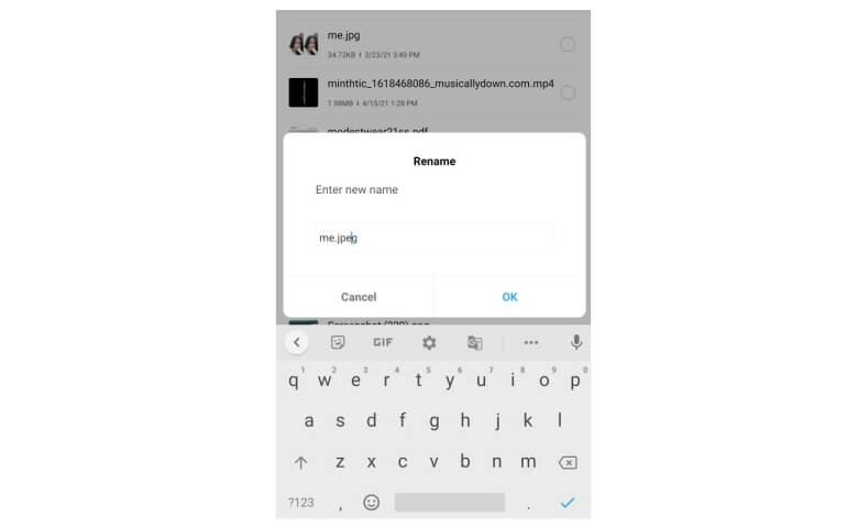 3. Pilih Rename File