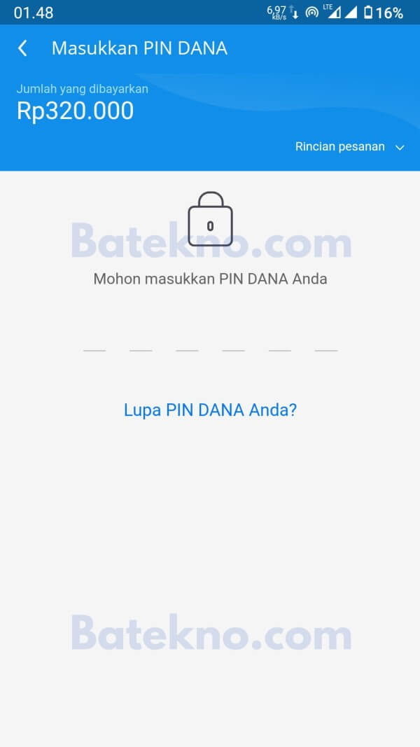 pin dana